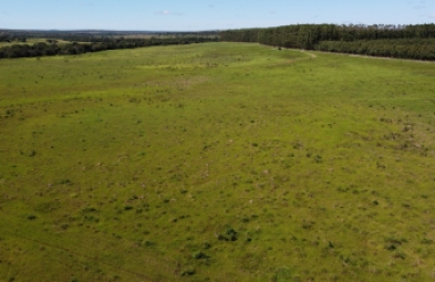 Fazenda para venda em Bonfinópolis